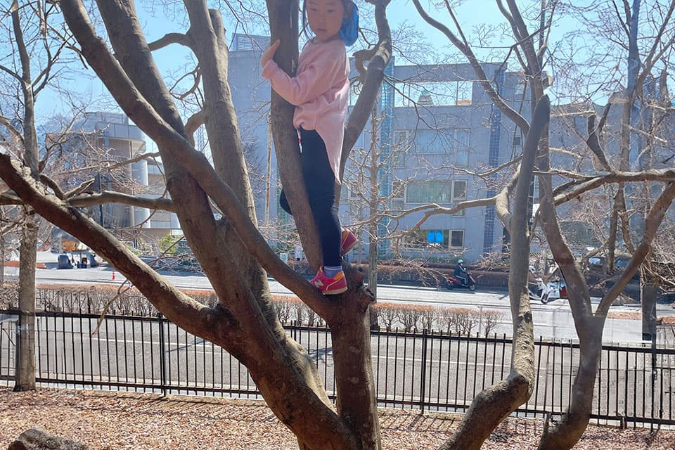 Instagramの投稿