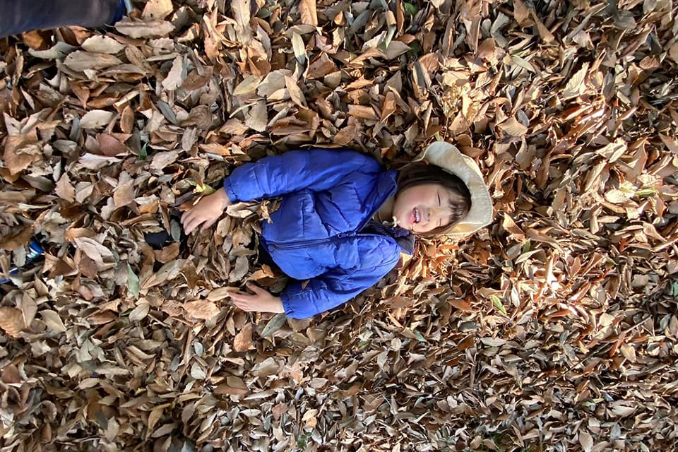 Instagramの投稿