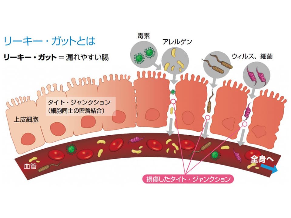 子どもが天才になる食事（教育本解説）その3