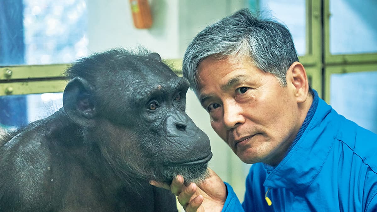 子どもが天才になる食事(教育本解説)その2