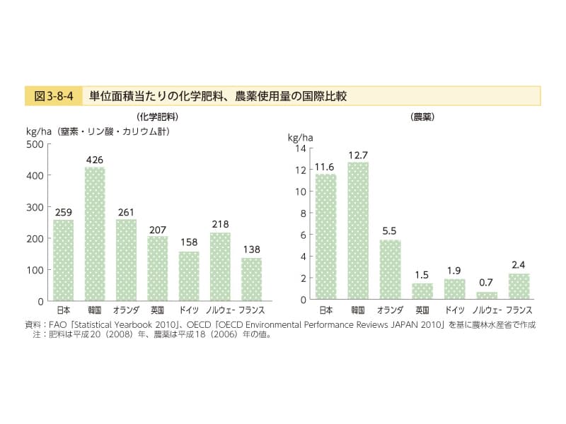 脳の80%は幼児期に決まる?